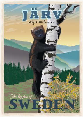 Järv djur vilda djur skog skogen turist turism retro poster affisch konsttryck